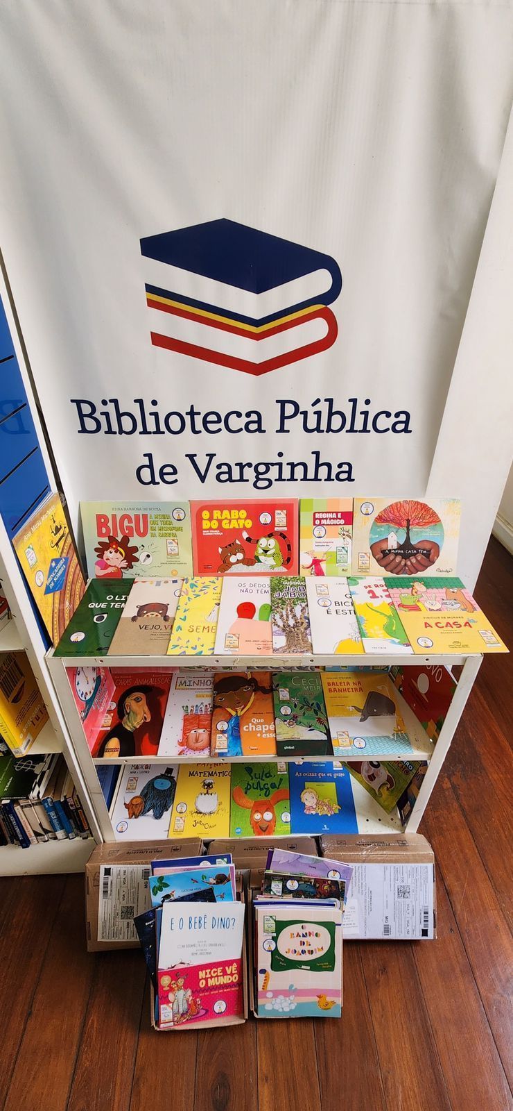 Biblioteca de Varginha recebe livros infantis através de programa nacional