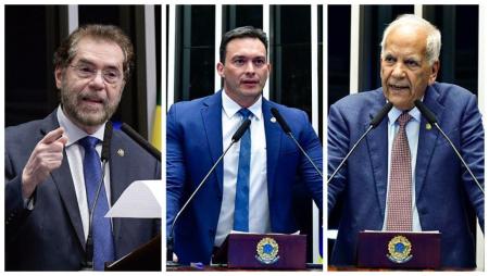 Senadores Plinio Valerio, Styvenson Valentim e Oriovisto Guimarães
.JPG