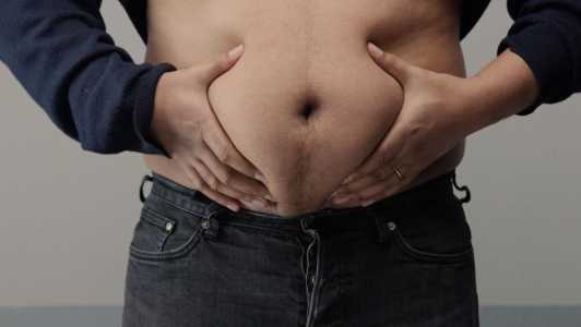 gordura abdominal obesidade gordura visceral sobrepeso