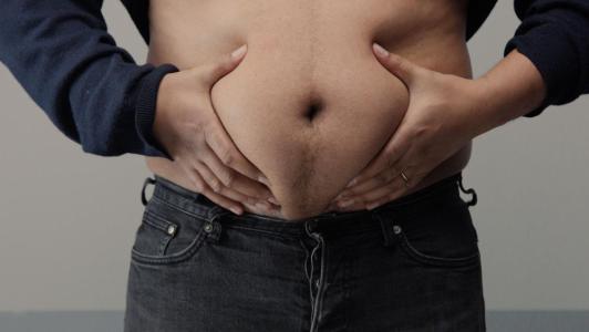 gordura abdominal obesidade gordura visceral sobrepeso