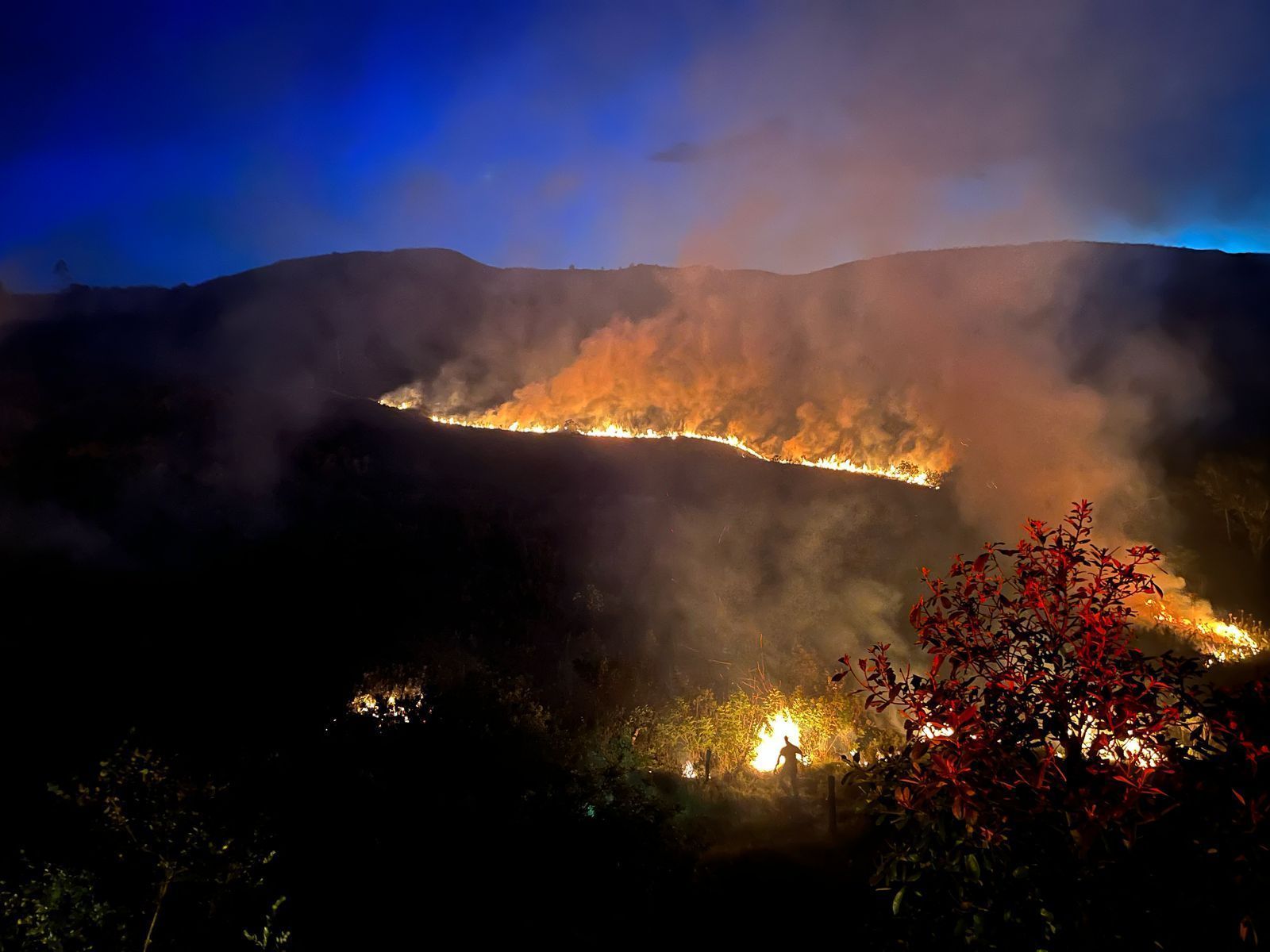Incêndio destrói área verde em Poços de Caldas