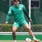 Cria do Cruzeiro, meia do Palmeiras explica cidadania e chances na Seleção Paraguaia