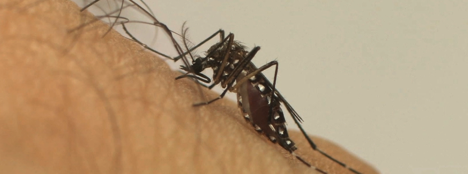 SES-MG confirma morte por dengue em Monte Santo de Minas