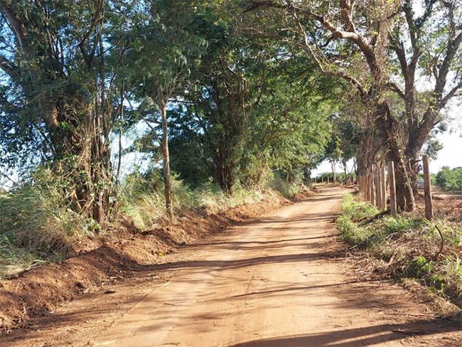 Rapaz é suspeito de matar a própria mãe a facadas em Varginha