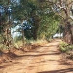 Rapaz é suspeito de matar a própria mãe a facadas em Varginha