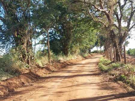 Crime foi registrado numa comunidade rural de Varginha na madrugada de sábado para domingo