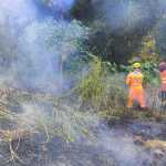 Bombeiros combatem dois incêndios no mesmo dia na Vila Mosconi