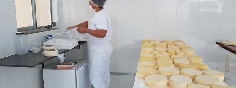 São mais de doze mil pequenos negócios que mantêm viva a tradição e movimentam a nossa economia.