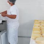 Agroindústria familiar de Minas produziu 43 mil toneladas de queijo em 2025
