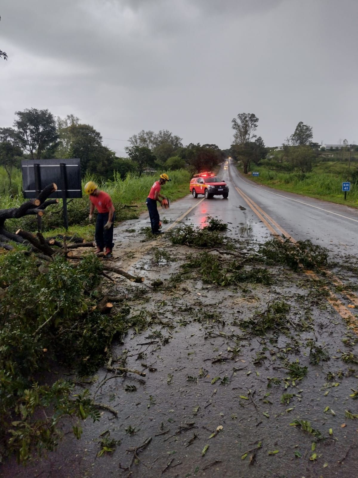 Forte chuva atinge região de Andradas e provoca queda de árvores