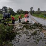 Forte chuva atinge região de Andradas e provoca queda de árvores