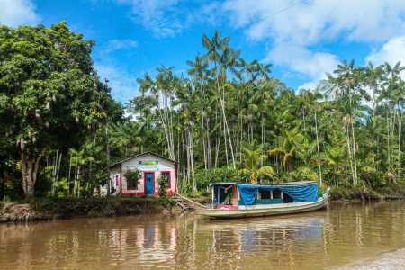 Diariamente, a vegetação amazônica libera cerca de 20 bilhões de toneladas de vapor d’água