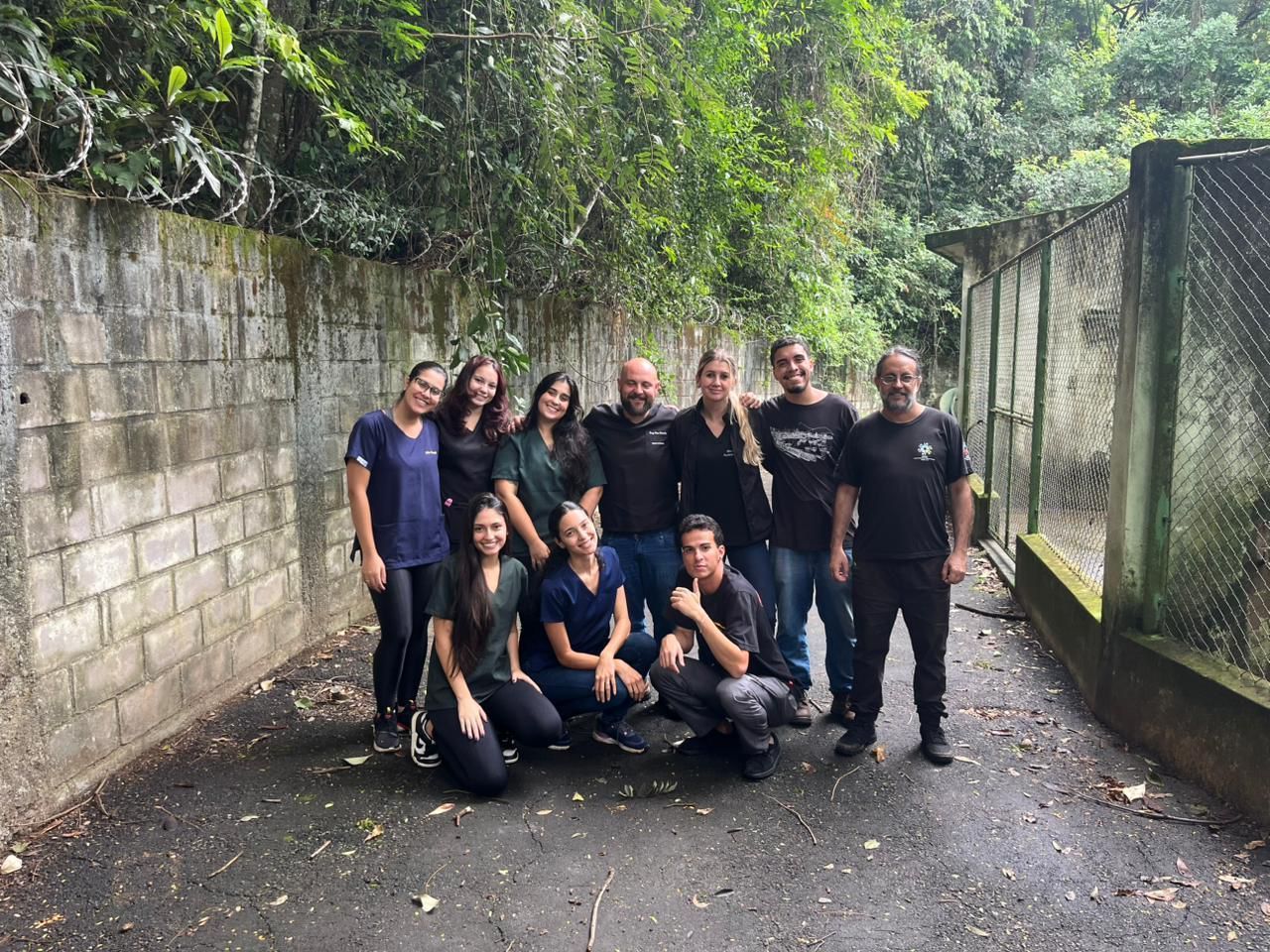 Unispet doa medicamentos e realiza exames em leão do zoológico
