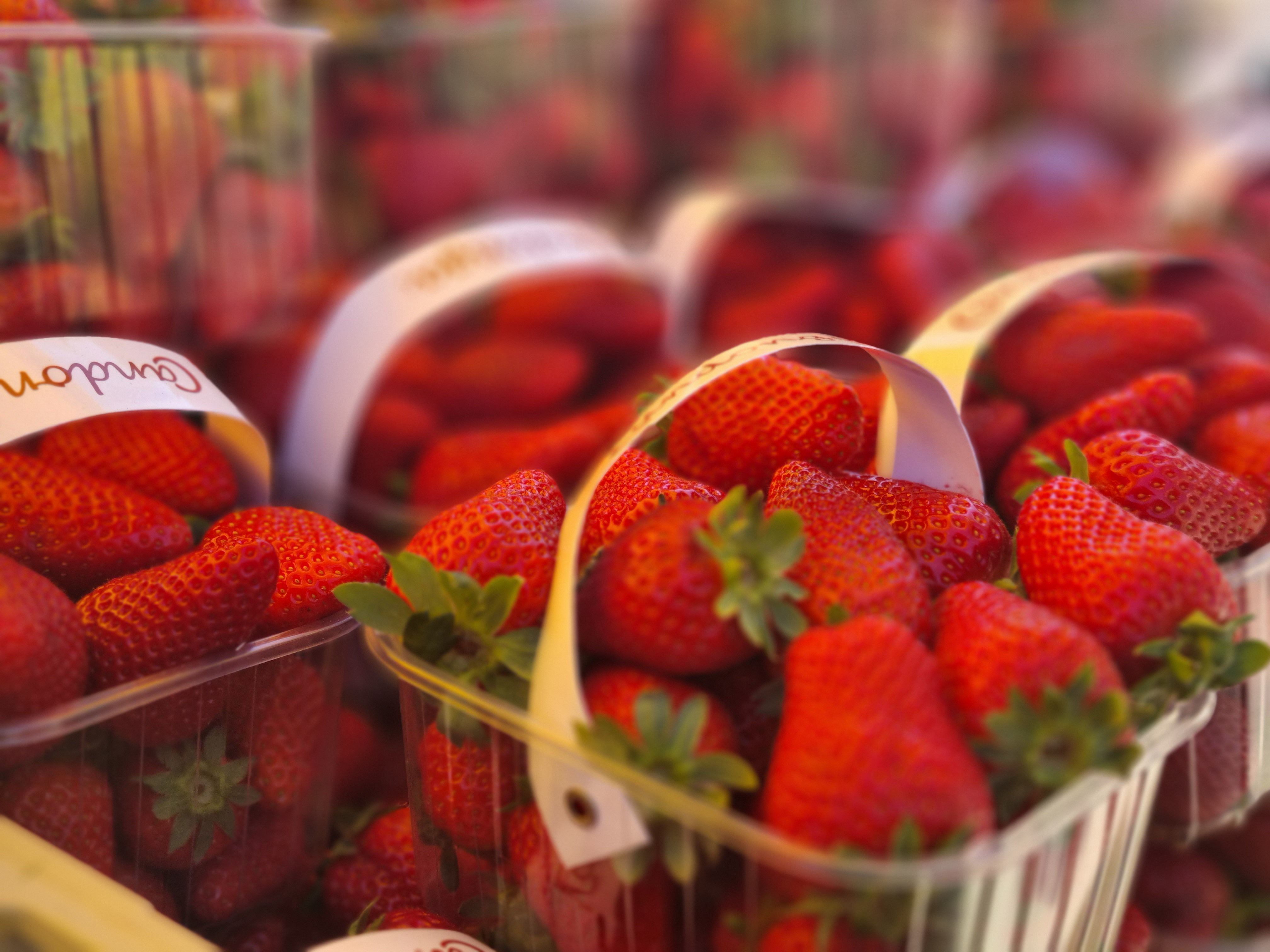 Febre do “morango do amor” passa e preço da fruta cai 44% na Ceasa Minas