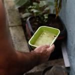 Cidade de SP ultrapassa 100 mil casos de dengue em 2024