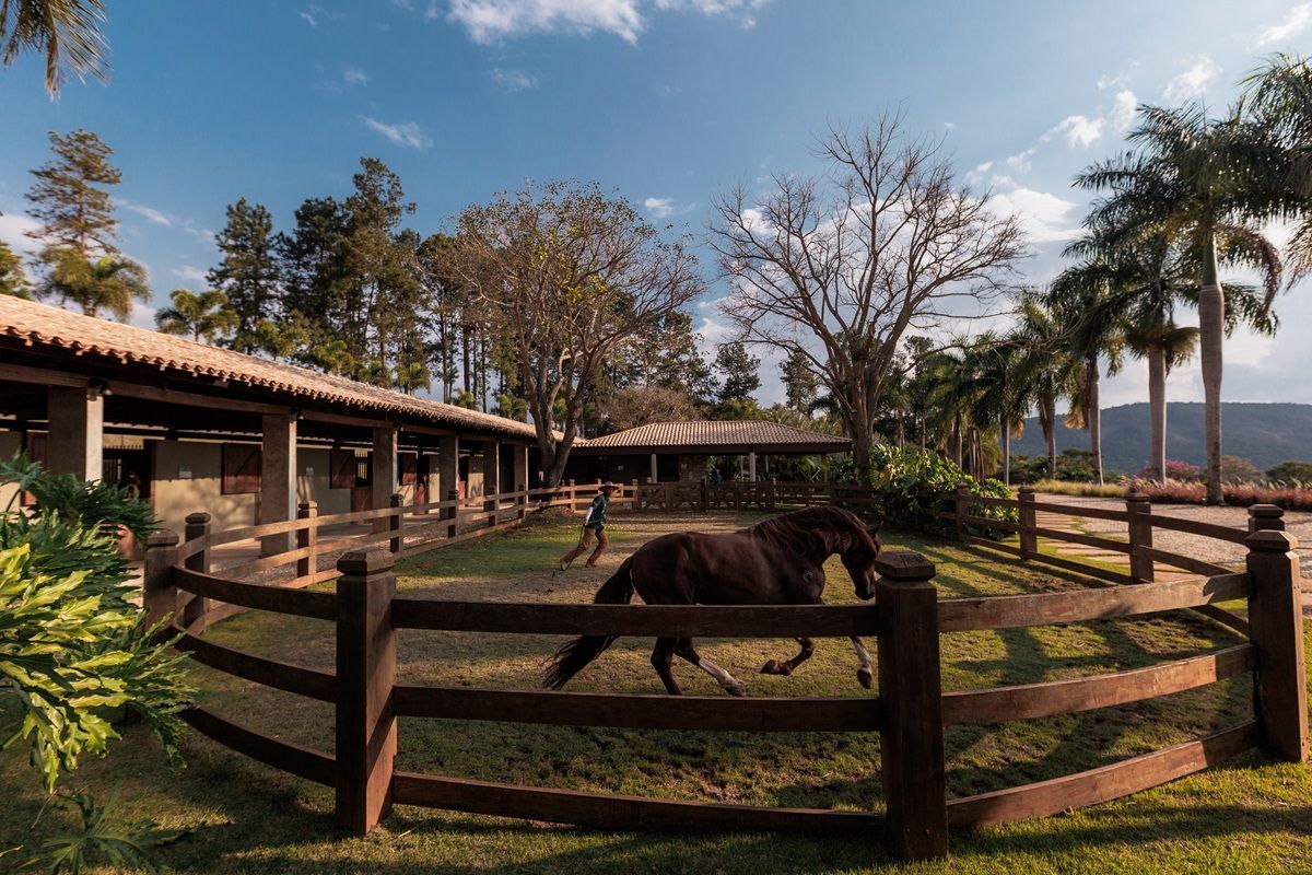 Grupo Katz e Haras MTostes lançam o condomínio Haras do Passo
