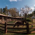 Grupo Katz e Haras MTostes lançam o condomínio Haras do Passo