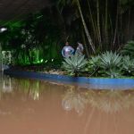 Chuva em Barueri deixa gramado e estacionamento alagados antes de Palmeiras x Mirassol