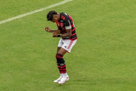 Bruno Henrique comemora gol pelo Flamengo