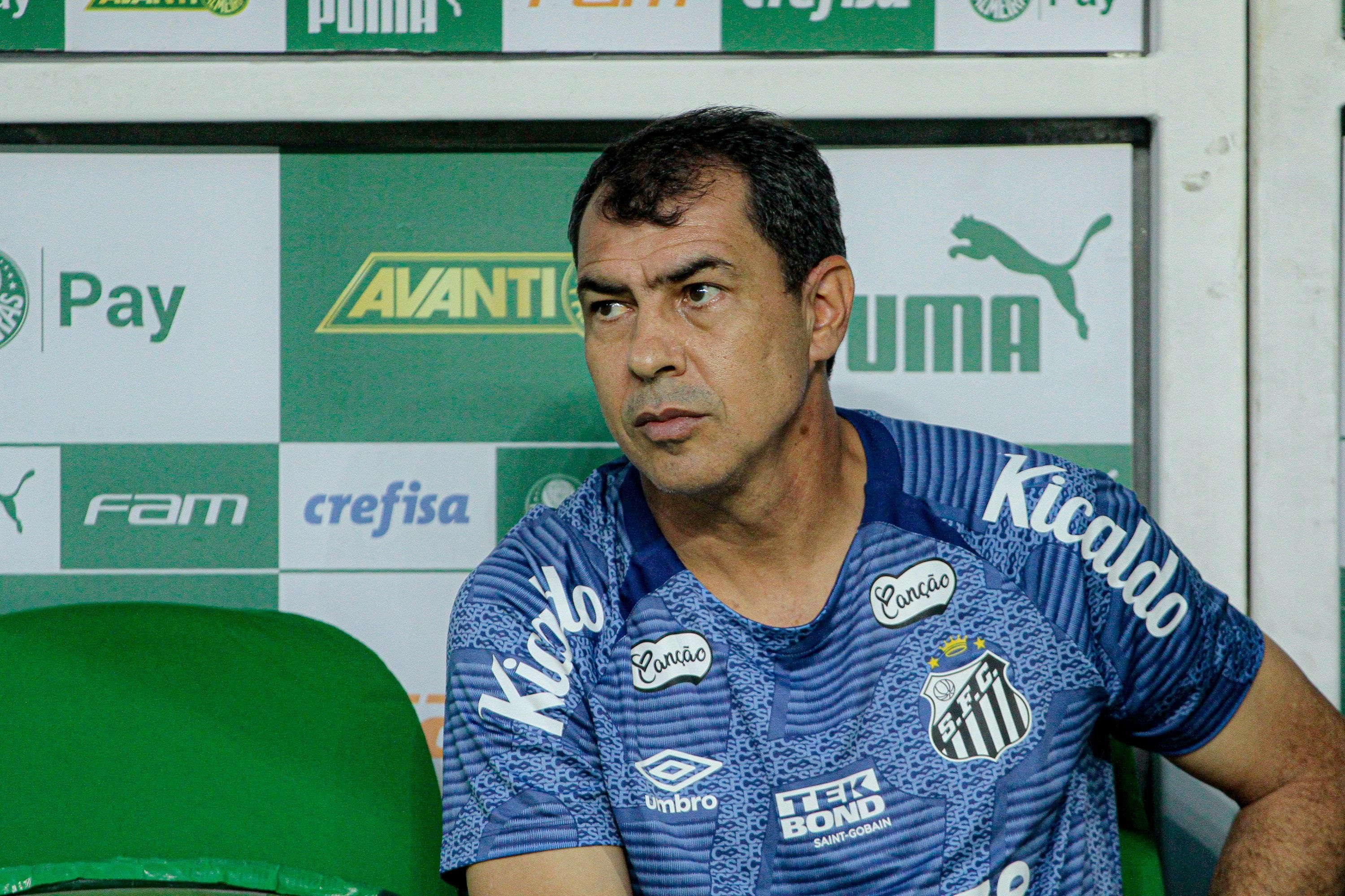 Carille contesta arbitragem em primeiro gol do Palmeiras sobre o Santos