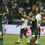 Palmeiras encurta distância para o Botafogo em comparação com 2023