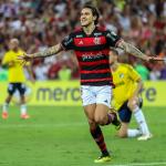 Flamengo 3x0 Millonarios: veja os melhores momentos pela Libertadores