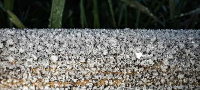 Rio Grande do Sul amanhece com geada e baixas temperaturas | CNN Brasil