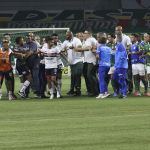Palmeiras x São Paulo: súmula relata novas expulsões e detalha quem deu soco