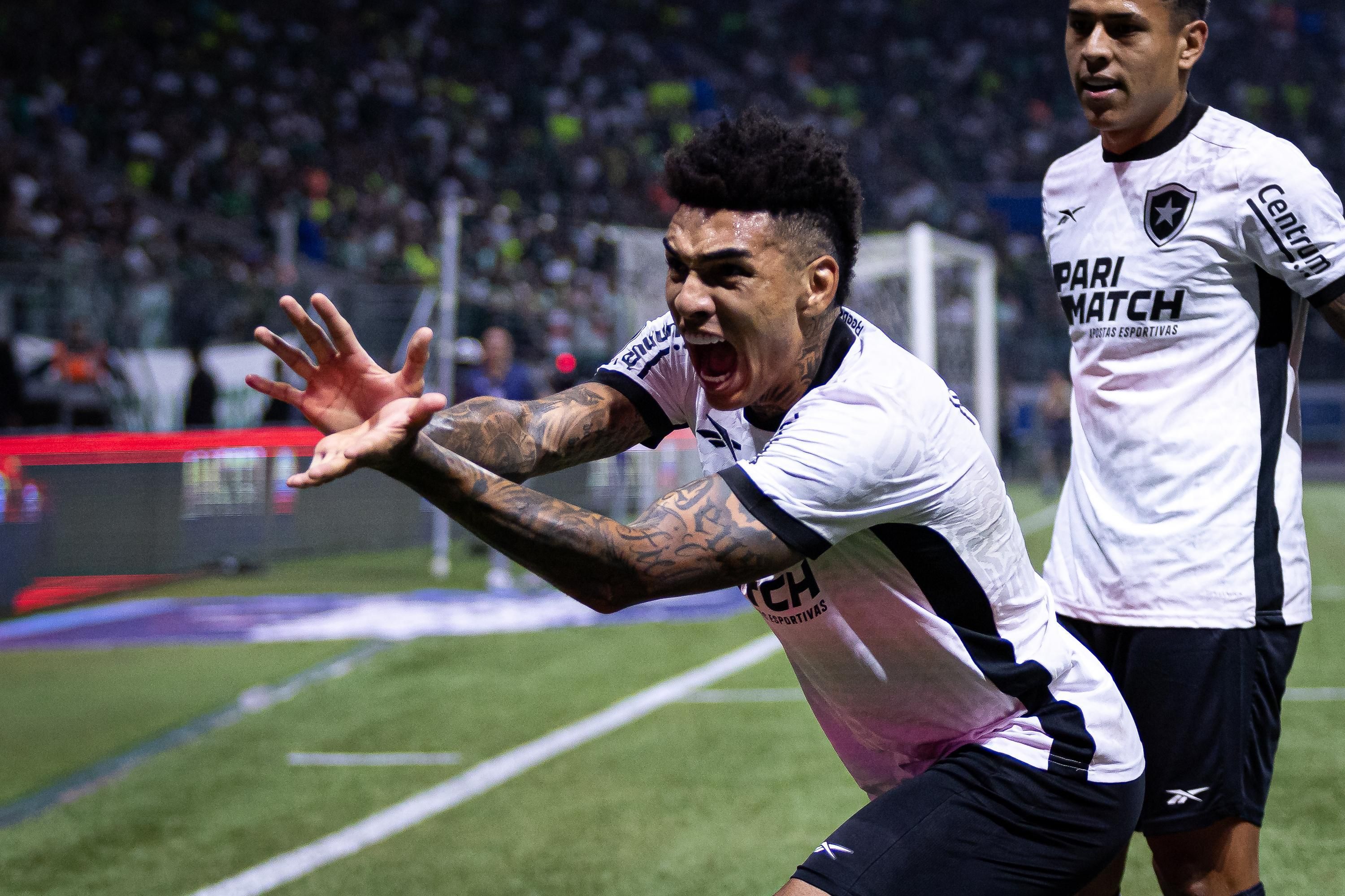 Botafogo toma susto, mas empata com Palmeiras e avança na Libertadores