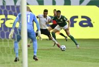 Palmeiras precisa quebrar tabu contra o Botafogo para se manter no topo