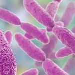 Reino Unido alerta para aumento de superbactéria transmitida sexualmente