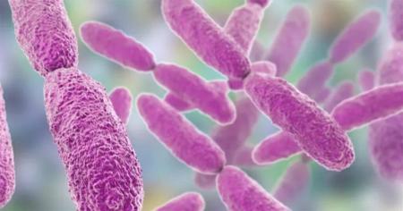 bactéria pneumonia resistente