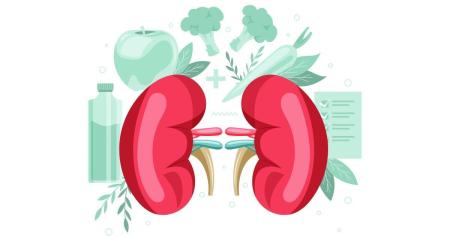 Composto natural do brócolis conseguiu atenuar impactos da hiperglicemia, beneficiando os rins