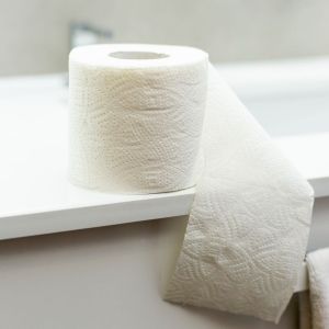 Papel higiênico é composto principalmente de celulose, um material com grande capacidade de absorção