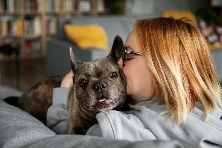 cao cachorro amizade amor carinho