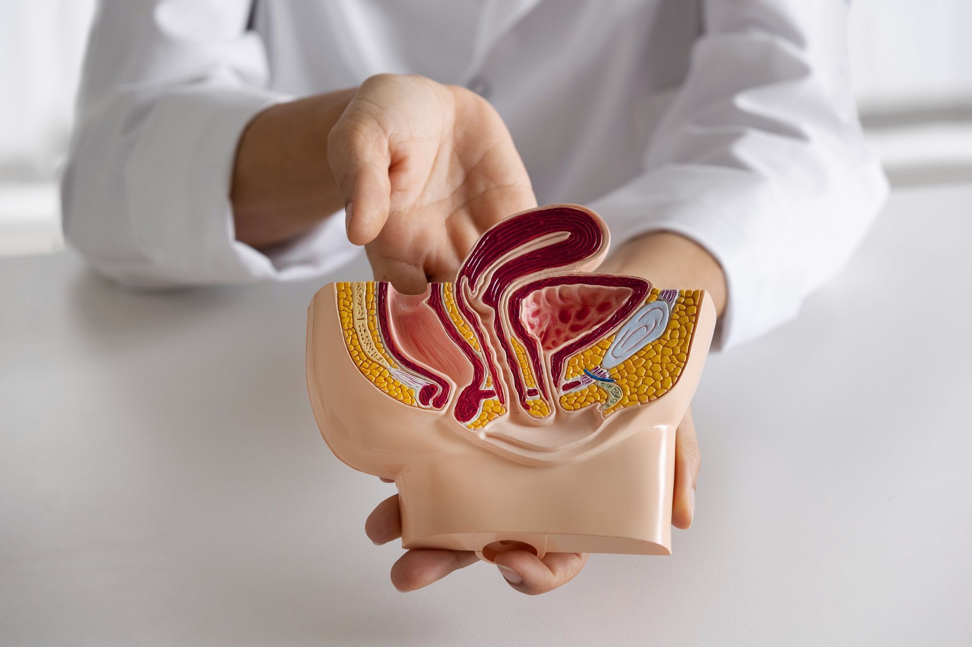 Alerta: 7 sinais que indicam problemas no intestino