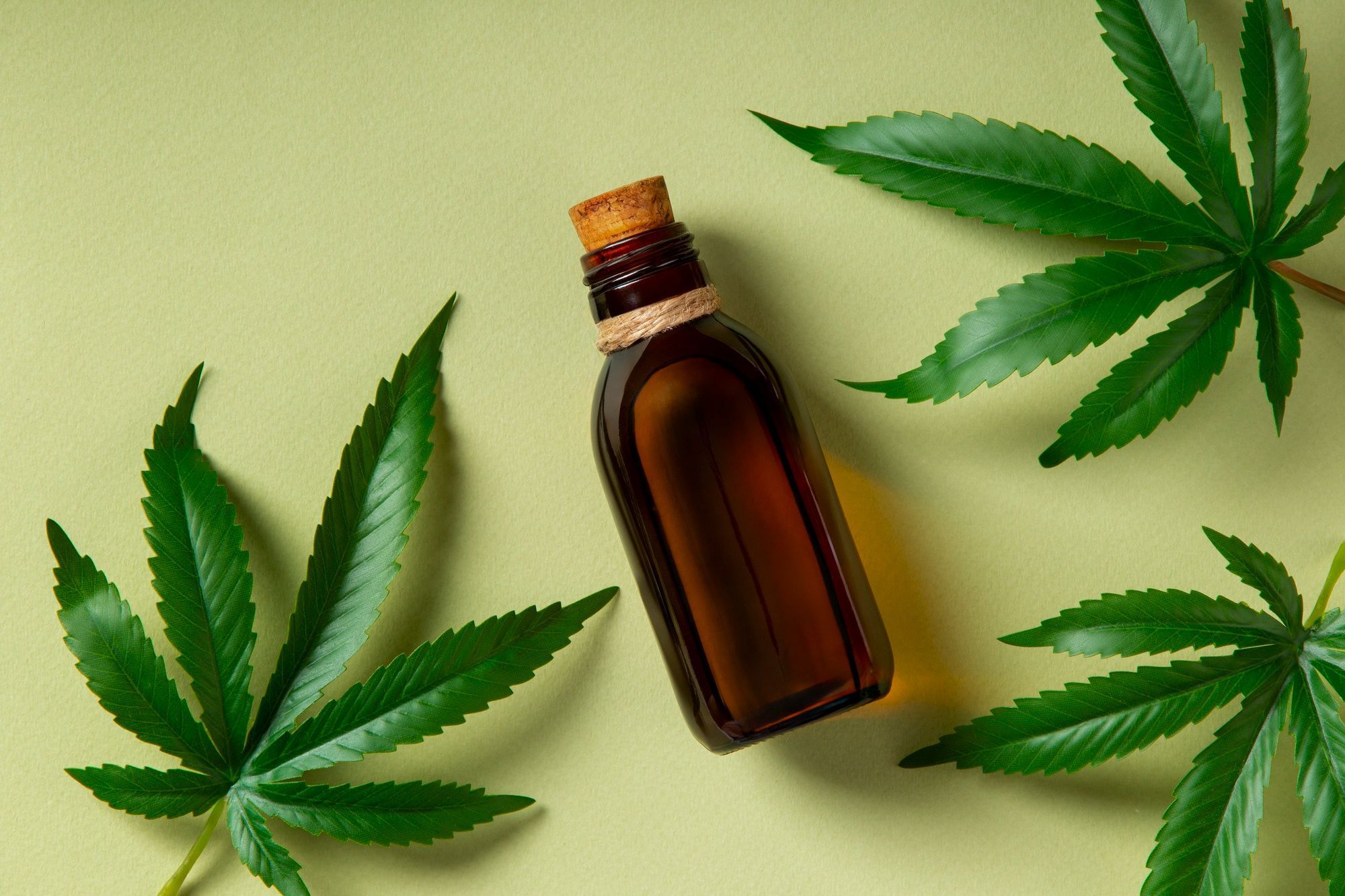 Anvisa aprova regras inéditas para produção de cannabis medicinal no Brasil; o que muda?