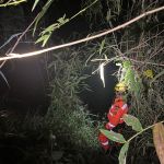 Homem morre ao cair em cachoeira de Congonhal