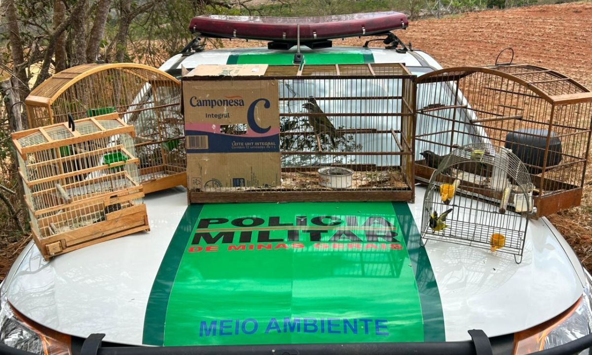 Polícia Militar divulga balanço da operação Libertas na região