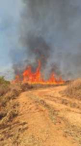 Incêndio  atingiu vegetação na área rural próxima ao bairro Maria Imaculada, em Poços de Caldas.