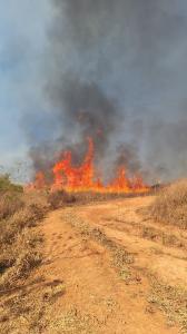 Incêndio atingiu vegetação na área rural próxima ao bairro Maria Imaculada, em Poços de Caldas.