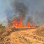 Incêndio que consumiu 50 hectares em Poços, ameaçou viveiros e vida animal na zona rural; Corpo de Bombeiros, Defesa Civil e voluntários ajudaram no combate