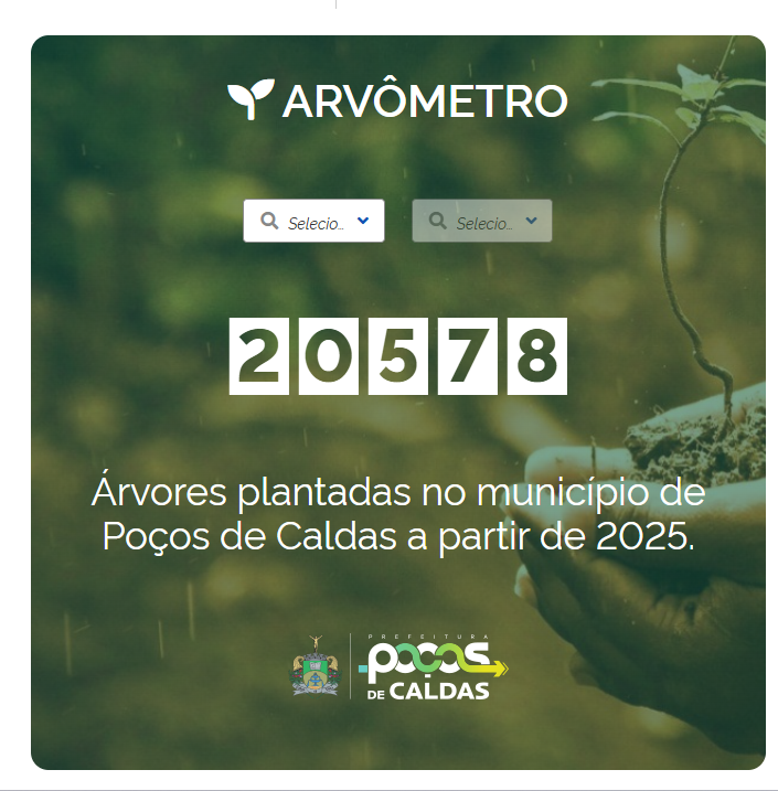 Poços de Caldas lança Arvômetro para monitorar plantio de árvores