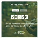 Poços de Caldas lança Arvômetro para monitorar plantio de árvores