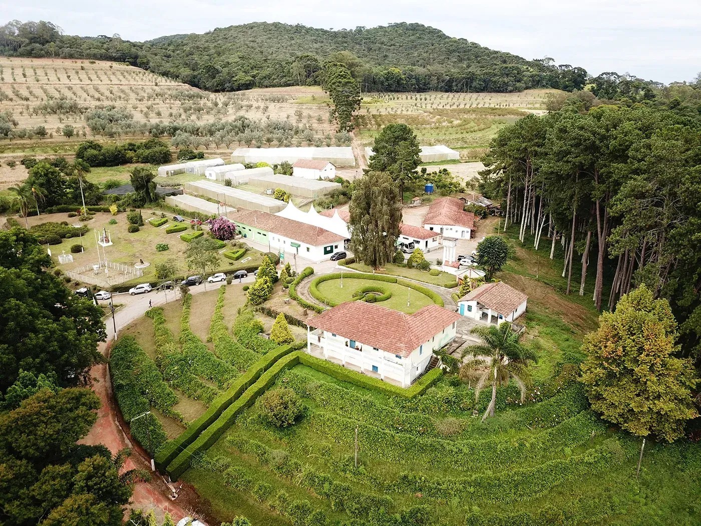 Cidade na Serra da Mantiqueira sedia a 6ª edição da Festa do Azeite Novo nesta semana