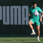 Lei do ex? Veja números de Bruno Rodrigues, do Palmeiras, contra o Cruzeiro