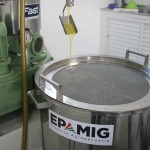 Empreendedores da olivicultura podem receber auxílio da Epamig em todo o processo de produção