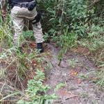 Guarda Municipal de Varginha é acionada em local de possível despejo de esgoto em curso d’água de nascentes