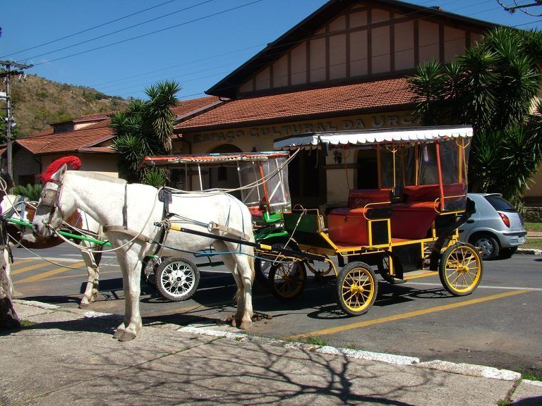 Projeto de lei propõe a substituição de charretes por carruagens elétricas em Poços de Caldas