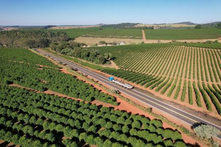 Fique atento aos horários de pico: na quarta-feira, dia 31, o fluxo aumenta logo cedo, às seis da manhã.